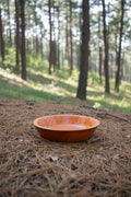 Hand Turned Mahogany Bowl